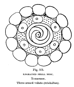 fig. 272